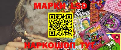 шишки Кандалакша