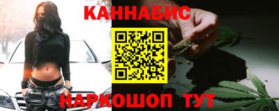 шишки Кандалакша