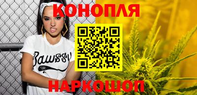 шишки Кандалакша
