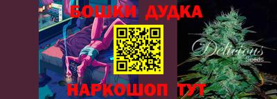 шишки Кандалакша