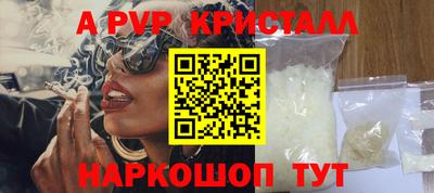 шишки Кандалакша