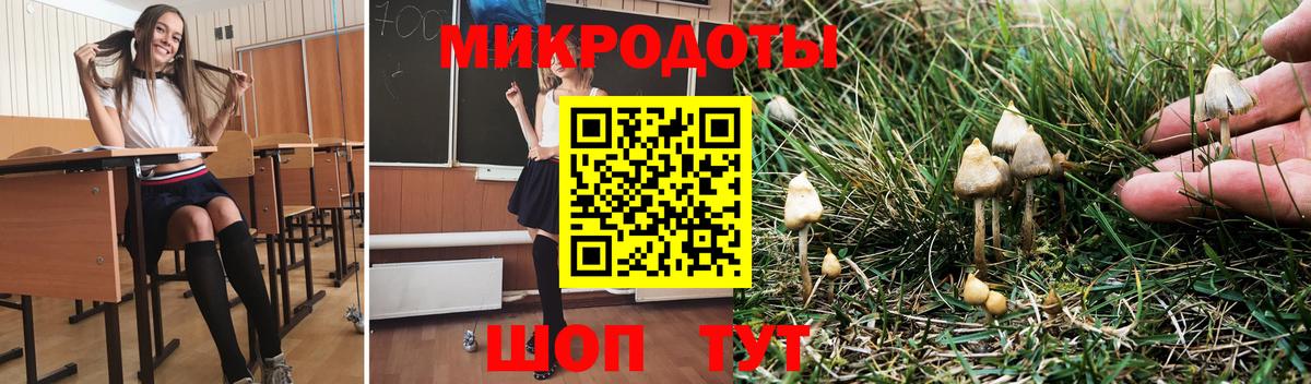 Кинель  Канабис  ТГК  МЕТ  COCAIN  Вход с VPN  Меф   Бошки Шишки  ГАШИШ 