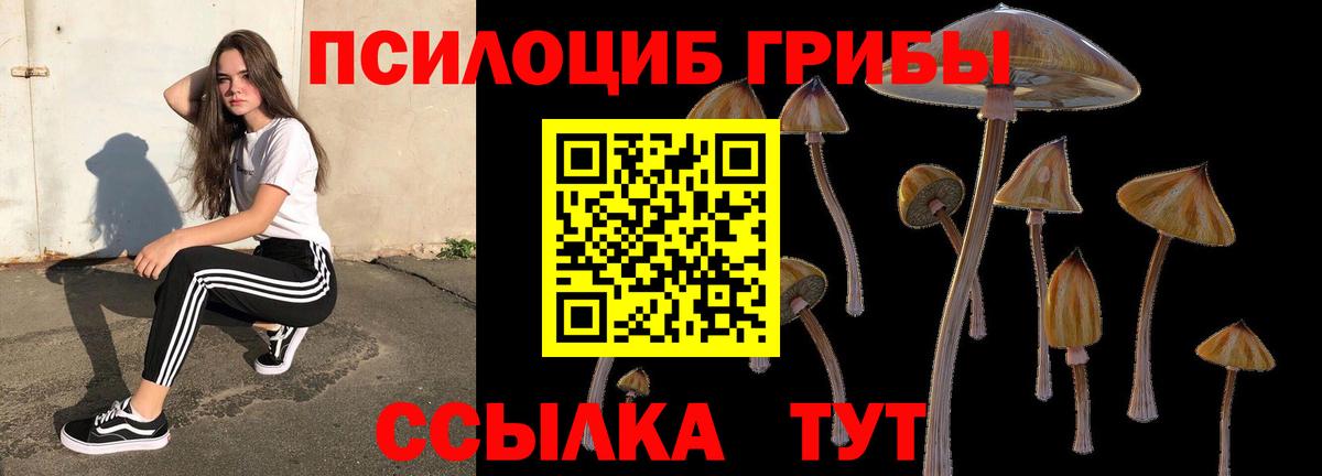 Галлюциногенные грибы ЛСД  Вход с VPN  Кинель  Псилоцибиновые грибы Psilocybine cubensis 
